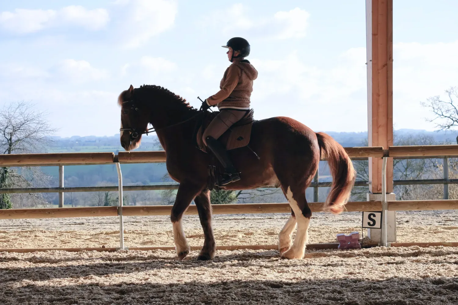 Uma cavaleira e o seu cavalo esboçam um suave piaffe.