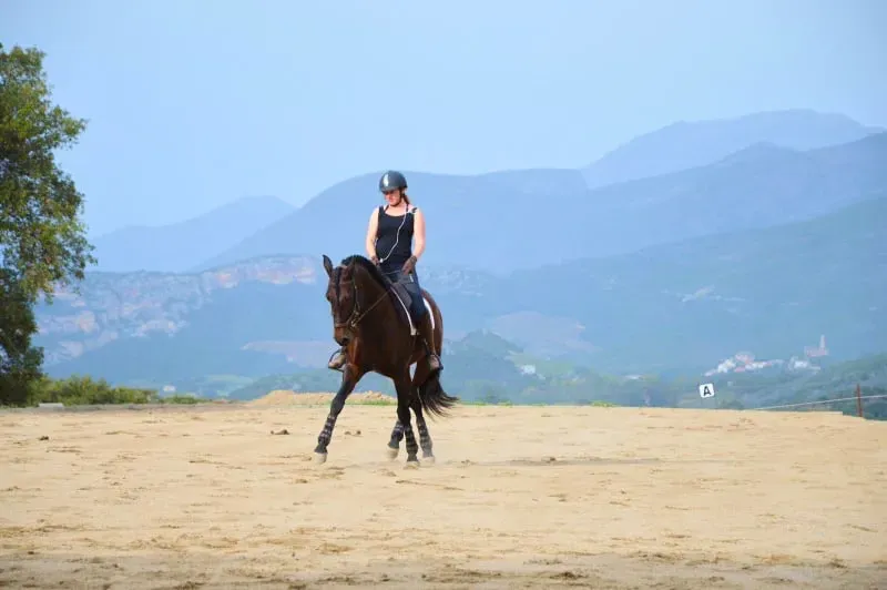 Uma cavaleira e o seu cavalo Lusitano castanho em deslocação lateral com as montanhas da Córsega em fundo.