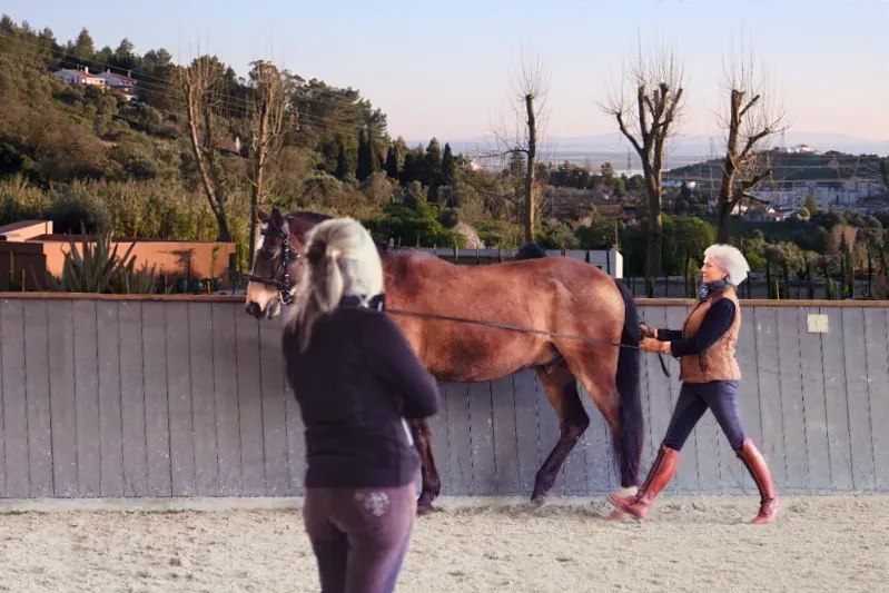 Uma cavaleira e o seu cavalo castanho trabalham às rédeas longas num picadeiro descoberto sob o olhar atento da treinadora Léa.