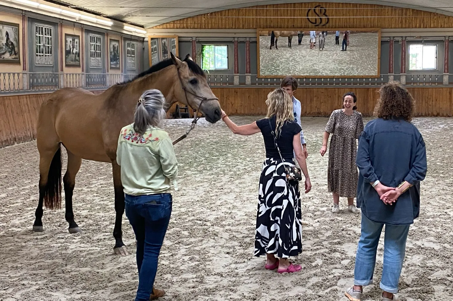 Group of equicoaching participants ready to start a session with the horse