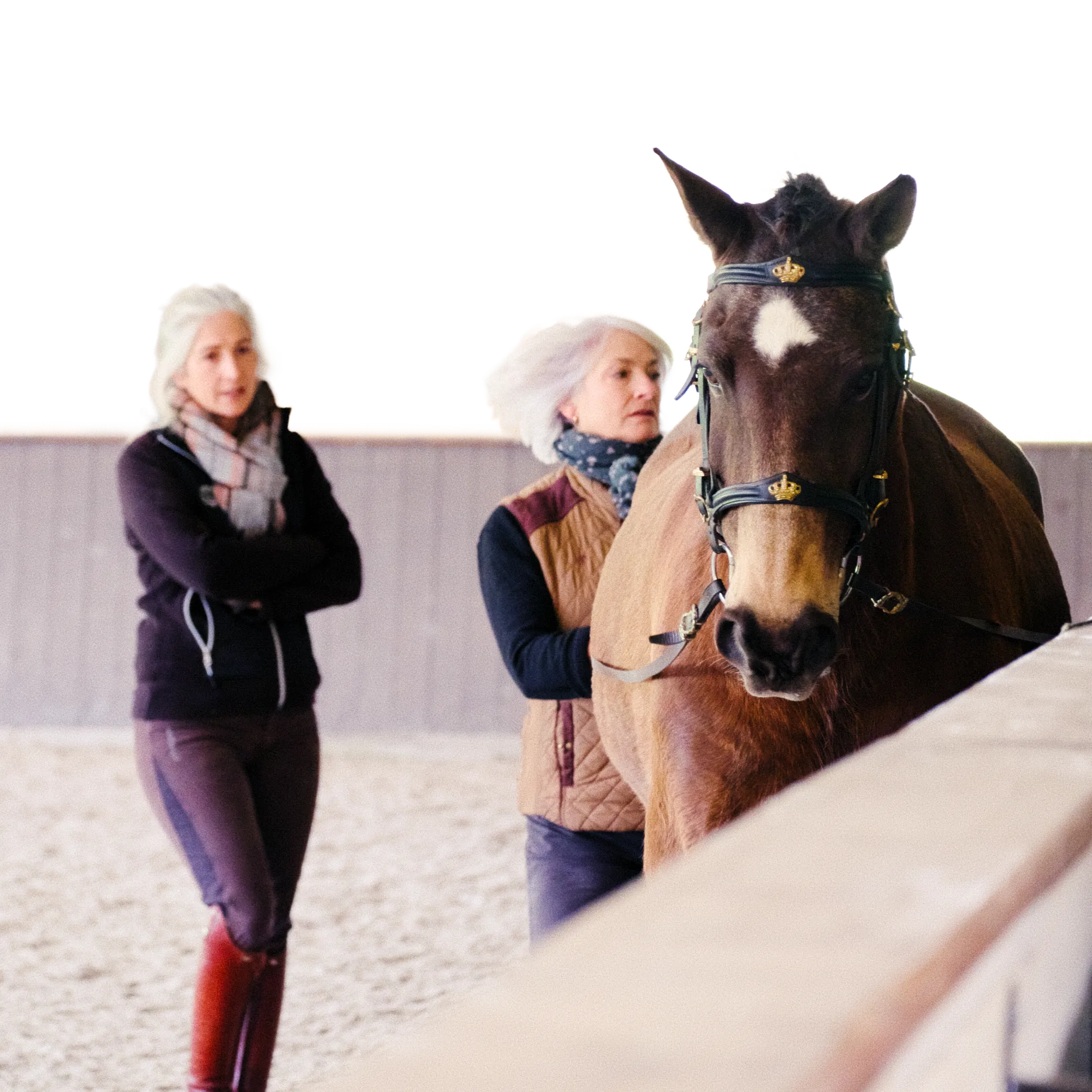 The rider works her horse in hand under the supervision of the coach