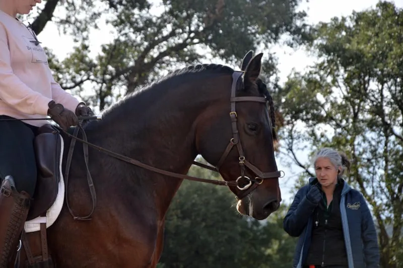 La coach parle à l’oreillette, cheval concentré