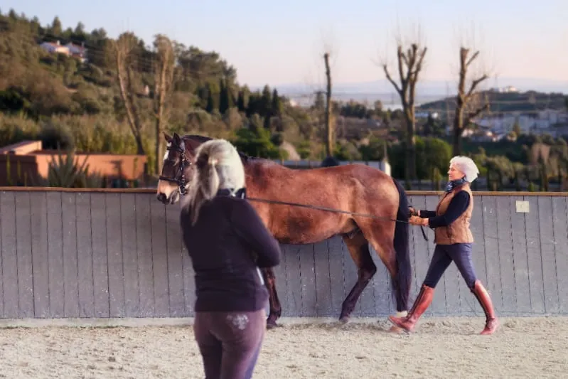 La cavalière travaille à la main sous l’œil de la coach