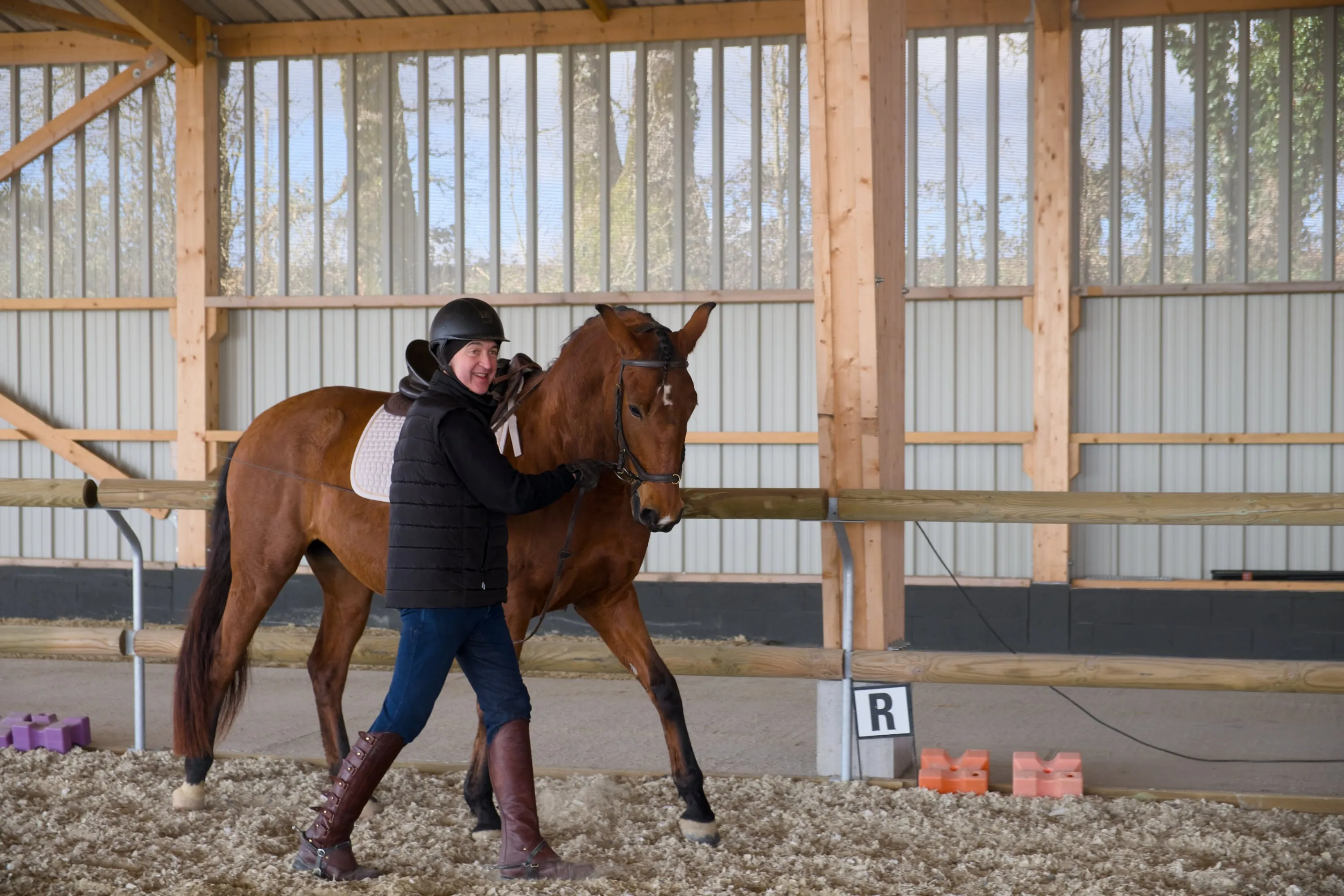 Jeune jument lusitano travaillant à la main en épaule en dedans avec son propriétaire en cours