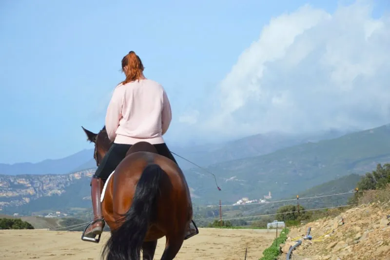Cavalière vue de dos avec son cheval lusitano, déplacement latéral, vue sur les montagnes corses