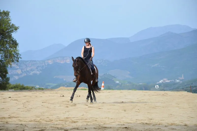 Cavalière et cheval lusitano en déplacement latéral, vue sur les montagnes corses