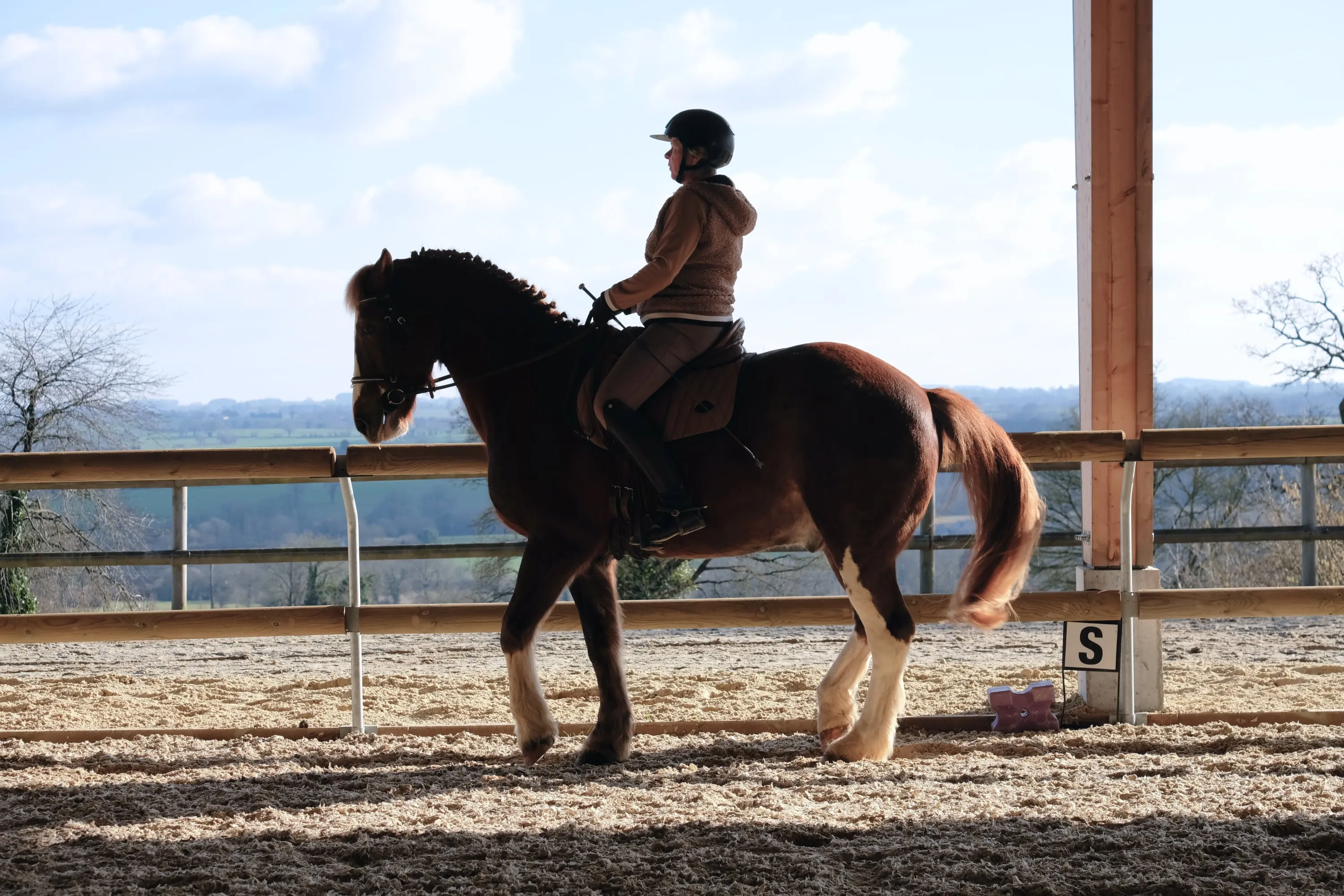 Cavalière et cheval esquissant un piaffer léger