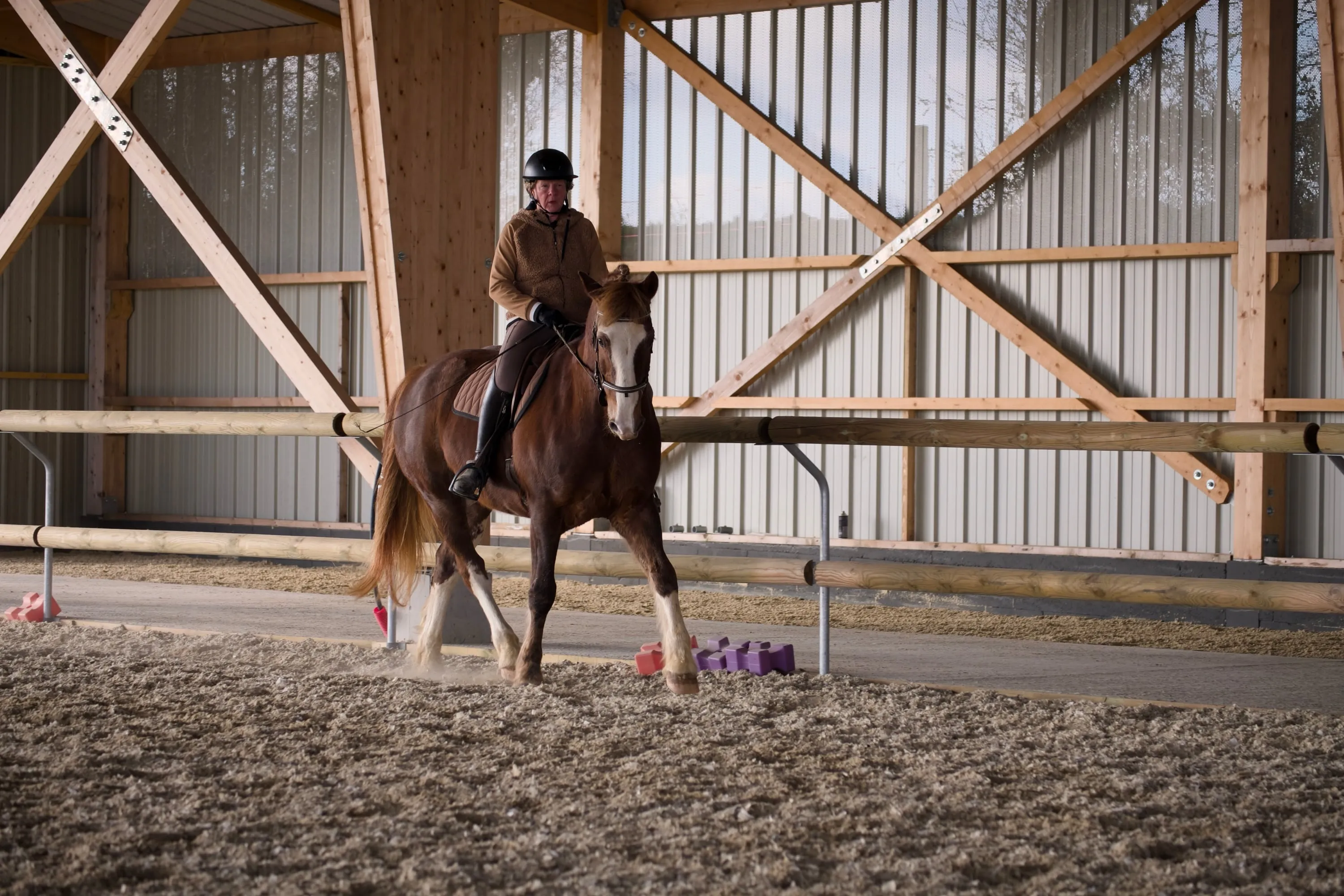 Cavalière et cheval en épaule en dedans au trot