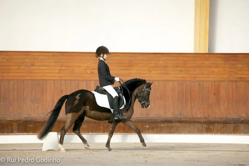 Poney et jeune cavalière en compétition
